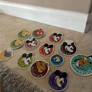 Disney Pass Holder magnets! 🐭